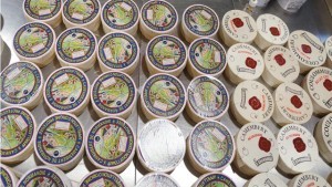 French cheese camembert tasting