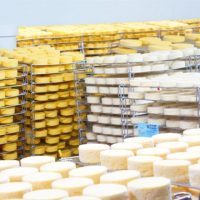 visit factory french cheese