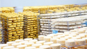 visit factory french cheese
