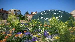 Visit Epernay - Private tour Champagne